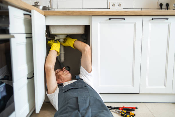 Best Commercial Plumbing Services  in Armona, CA